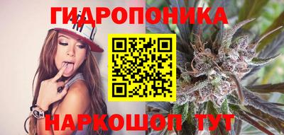 хмурый Берёзовский