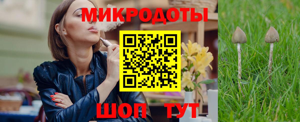 Псилоцибиновые грибы MAGIC MUSHROOMS  Вход с VPN  Керчь 