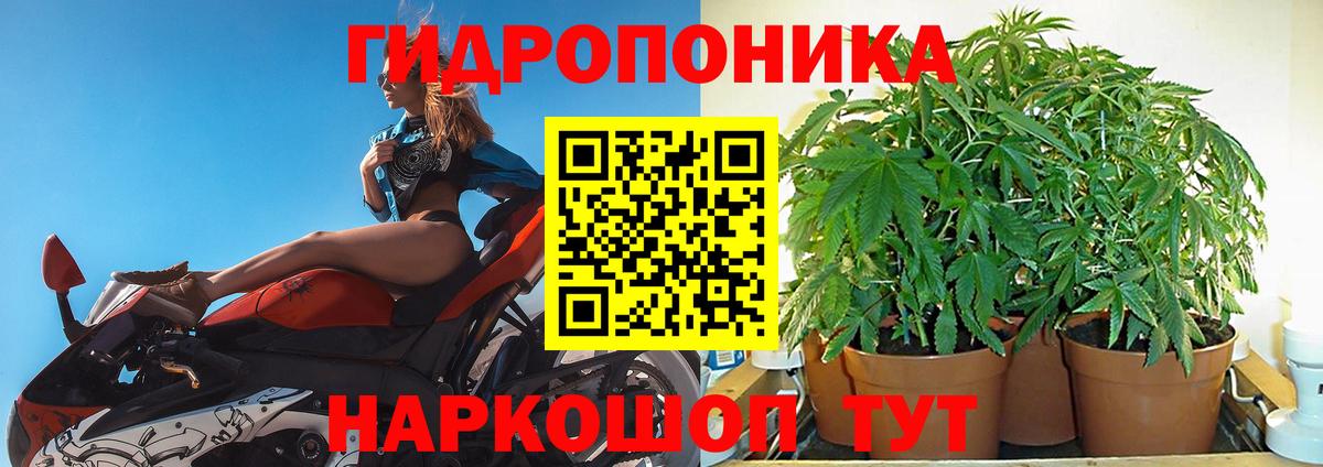 Бошки Шишки сатива Керчь